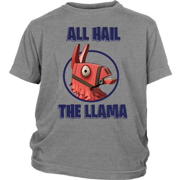 All Hail the LLAMA Loot Box Hero Kids T Shirt