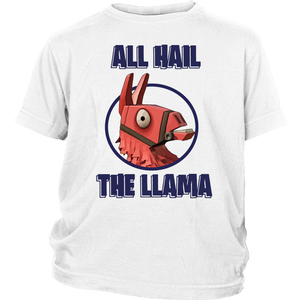 All Hail the LLAMA Loot Box Hero Kids T Shirt